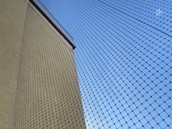 Школы Белгорода начнут накрывать антидроновой сеткой после детсадов и больниц