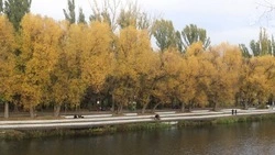 Пасмурная туманная погода ожидается в Белгородской области в четверг 