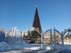 Главную новогоднюю ёлку Белгорода начали убирать на Соборной площади