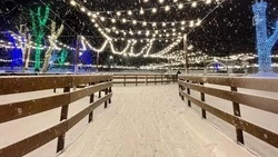 Каток в парке Ленина в Белгороде закрыли из-за резкого потепления