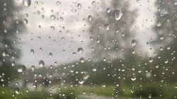 Последний месяц лета начнётся в Белгородской области с дождей