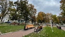 Облачная погода без осадков установится в Белгородской области во вторник