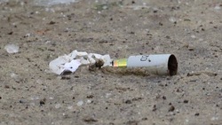 В парках и скверах Белгорода организуют выставки для обучения минной безопасности 
