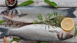 Белый амур, форель и карп: около 11 тысяч тонн рыбы произвели за год в Белгородской области