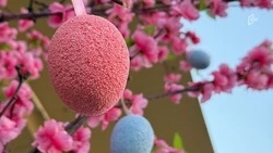 Пасхальные ярмарки и космические концерты ждут белгородцев на грядущих выходных