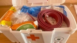 Учащиеся медицинских классов обучат белгородцев оказанию первой помощи