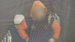 Полицейские задержали в Брянске подозреваемого в убийстве белгородского пенсионера