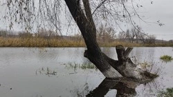 Оперштаб: В случае прорыва дамбы на Белгородчине последствия будут минимальными