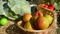 Белгородские производители могут принять участие в конкурсе брендов региона 