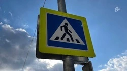 Иномарка сбила женщину и трёхлетнего ребёнка на пешеходном переходе под Белгородом