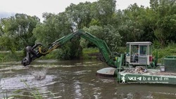 В Белгороде началась очистка рек