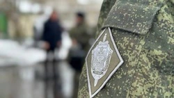 Гладков: Белгородские власти намерены устроить всех вернувшихся участников СВО 