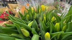В Белгороде открылись праздничные цветочные ярмарки 
