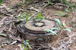 Более 7 000 боеприпасов ВСУ уничтожено в Белгородской области