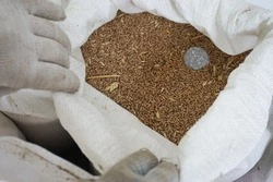 Восемь тонн пшеницы заготовили белгородские лесничие для диких животных