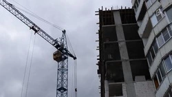 «Частная собственность? Не согласен»: Гладков о мешающих рынку брошенных землях в регионе
