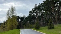 Шуваев обратился к работникам леса и лесоперерабатывающей промышленности в профессиональный праздник