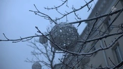 Пасмурная погода и 17-градусный мороз ожидаются в Белгородской области в четверг 