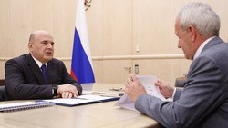 Мишустин обсудил с главой белгородского «ЭФКО» инновации в пищепроме
