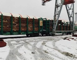 Белгородская область получила 180 кубометров сосны для нужд военнослужащих