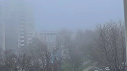 Белгородские синоптики предупредили о тумане и гололедице во вторник 