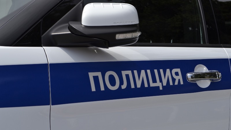 Танцующая на белгородской трассе ночная бабочка нарвалась на полицейских