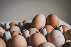  Гладков ответил на претензию о «золотых» яйцах в Белгородской области