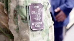 Пятеро бойцов «Орлана» ранены при исполнении боевых задач в Белгородском районе и Шебекинском округе