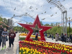 День города в Белгороде пройдёт без массовых мероприятий
