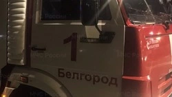 Мужчина погиб при пожаре в частном доме в Белгороде в воскресенье