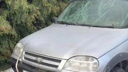 Мирный житель получил тяжëлые ранения после атаки дрона в Графовке Шебекинского округа