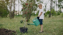 Многодетные семьи Валуйского округа за рождение пятого ребёнка получат 24 фруктовых дерева