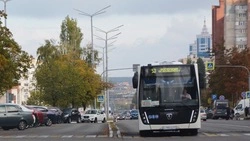 Проект оптимизации маршрутной сети Старооскольского округа обойдётся в 13,8 млн рублей 