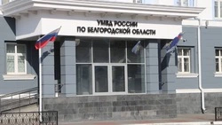 26 тысяч иностранцев получили гражданство РФ в Белгородской области с 2022 года