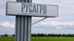 Белгородские власти уточнят планы «Русагро» на участие в благотворительных проектах региона