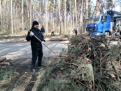 Масштабный субботник прошёл в белгородской Сосновке 