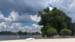 Спасатели предупредили белгородцев о штормовом ветре в четверг 