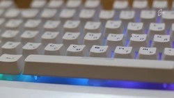 Совещание белгородского правительства прервалось из-за DDoS-атаки
