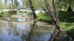 В Белгороде намерены решить проблему подтопления грунтовыми водами в парке Победы