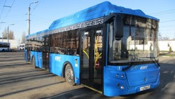 Пассажирские автобусы  Белгорода заметили в сопровождении полиции