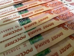 Гладков: белгородские фермеры в 2025 году получили поддержку в размере 550 млн рублей