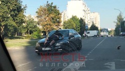 Иномарка прокатила мужчину на капоте по Харгоре в Белгороде