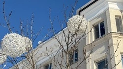 Мороз в Белгородской области спадёт до 10-15 градусов в четверг