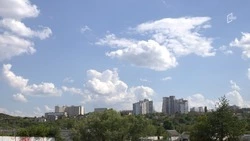 До +26 градусов и без осадков: какой будет погода в Белгородской области 19 июня