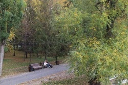 Уличное освещение в трех парках Белгорода будет работать в вечернее время