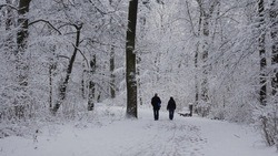 Слабый снег пройдёт в Белгородской области в четверг