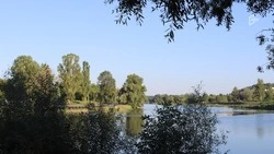 27-градусное тепло ждёт белгородцев в понедельник