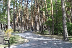Особый противопожарный режим в Белгородской области продлён до 13 июля