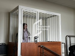 Россинская* приговорена к 22 годам лишения свободы за государственную измену