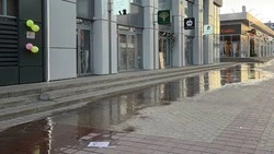 Улицу в районе Центрального рынка Белгорода затопило из-за порыва канализации